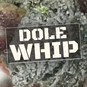 Dole Whip Cannabis Strain
