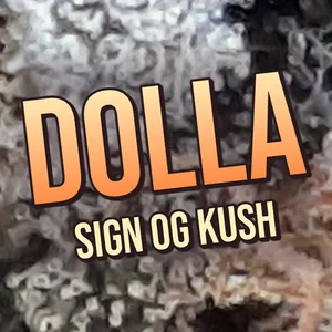 Dolla Sign OG Kush Cannabis Strain