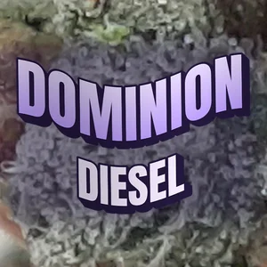 Dominion Diesel Cannabis Strain