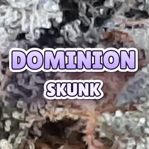 Dominion Skunk Cannabis Strain