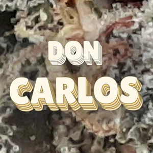 Don Carlos Cannabis Strain