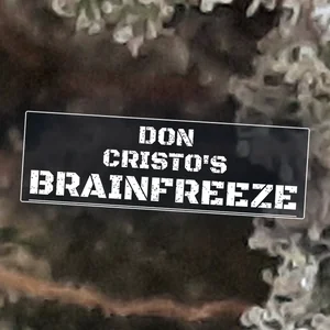 Don Cristo's Brainfreeze Cannabis Strain