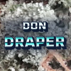Don Draper Cannabis Strain