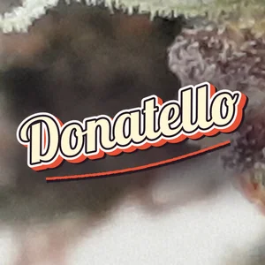 Donatello Cannabis Strain