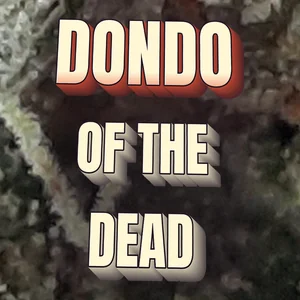 Dondo of the Dead Cannabis Strain