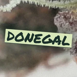 Donegal Cannabis Strain