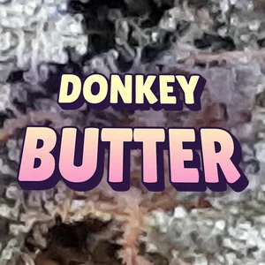 Donkey Butter Cannabis Strain