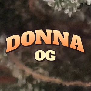 Donna OG Cannabis Strain
