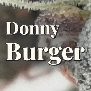 Donny Burger Cannabis Strain