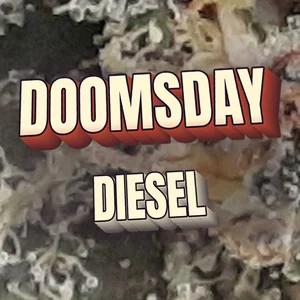 Doomsday Diesel Cannabis Strain