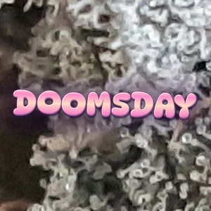 Doomsday Cannabis Strain