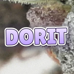 Dorit Cannabis Strain