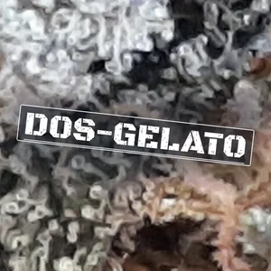 Dos-Gelato Cannabis Strain