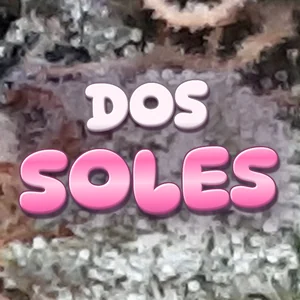 Dos Soles Cannabis Strain