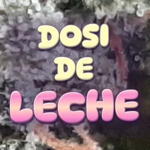 Dosi De Leche Cannabis Strain