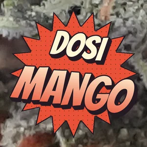 Dosi Mango Cannabis Strain
