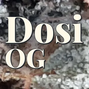 Dosi OG Cannabis Strain
