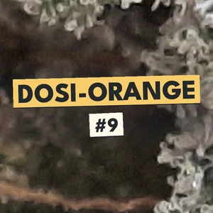 Dosi-Orange #9 Cannabis Strain