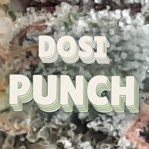 Dosi Punch Cannabis Strain