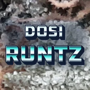 Dosi Runtz Cannabis Strain