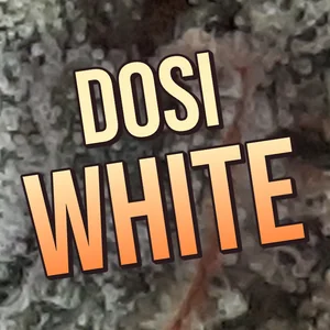 Dosi White Cannabis Strain