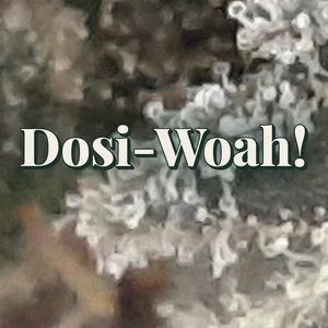 Dosi-Woah! Cannabis Strain