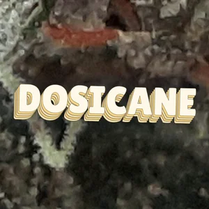 Dosicane Cannabis Strain
