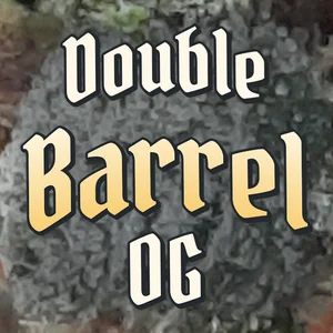Double Barrel OG Cannabis Strain