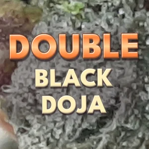 Double Black Doja Cannabis Strain