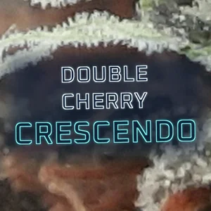 Double Cherry Crescendo Cannabis Strain