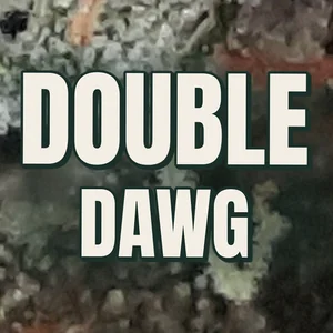 Double Dawg Cannabis Strain