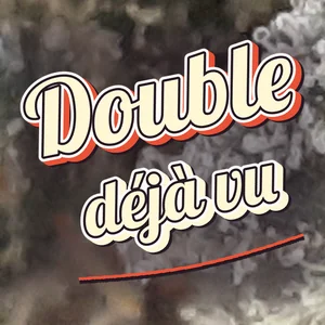 Double déjà vu Cannabis Strain