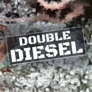 Double Diesel Cannabis Strain