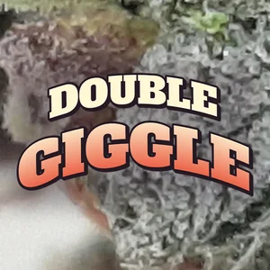 Double Giggle Cannabis Strain