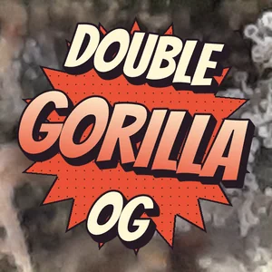 Double Gorilla OG Cannabis Strain