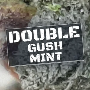 Double Gush Mint Cannabis Strain