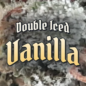 Double Iced Vanilla Cannabis Strain