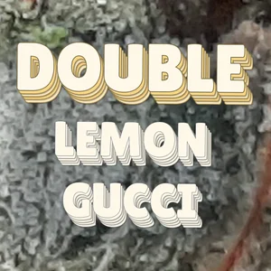 Double Lemon Gucci Cannabis Strain