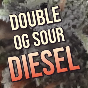 Double OG Sour Diesel Cannabis Strain