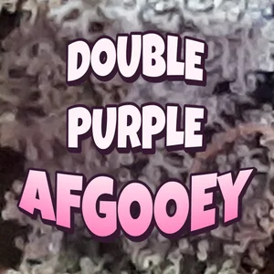 Double Purple Afgooey Cannabis Strain