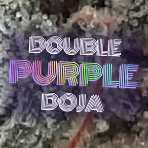 Double Purple Doja Cannabis Strain