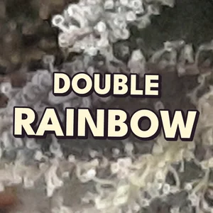Double Rainbow Cannabis Strain