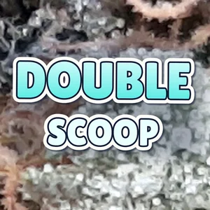 Double Scoop Cannabis Strain