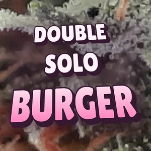 Double Solo Burger Cannabis Strain