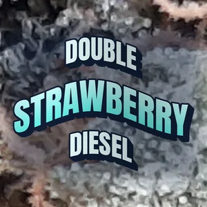Double Strawberry Diesel Cannabis Strain