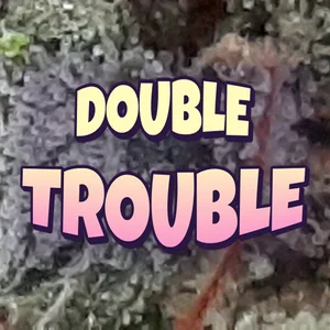 Double Trouble Cannabis Strain