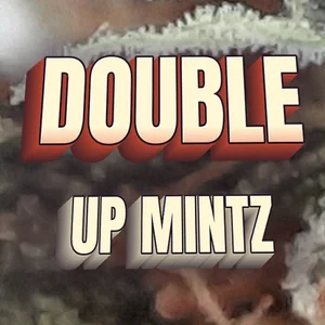 Double Up Mintz Cannabis Strain