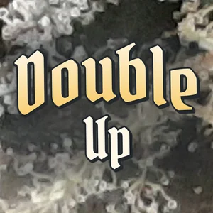 Double Up Cannabis Strain