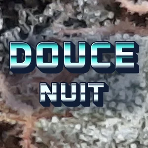 Douce Nuit Cannabis Strain