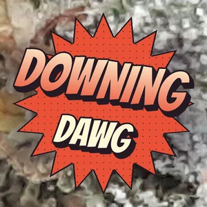 Downing Dawg Cannabis Strain